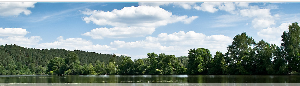 Живописный, экологически чистый коттеджный поселок рядом с Самарой в п. Нижняя Солонцовка Красноярского района