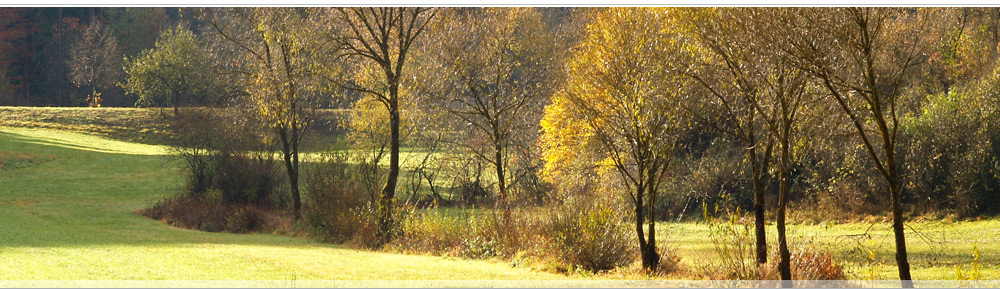 Живописный, экологически чистый коттеджный поселок рядом с Самарой в п. Нижняя Солонцовка Красноярского района