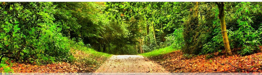 Живописный, экологически чистый коттеджный поселок рядом с Самарой в п. Нижняя Солонцовка Красноярского района