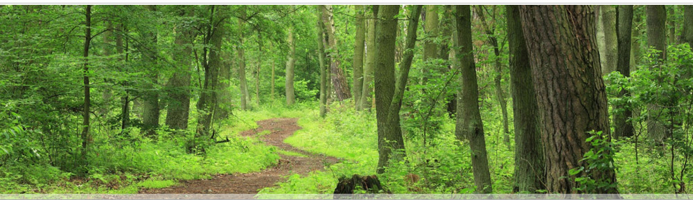 Живописный, экологически чистый коттеджный поселок рядом с Самарой в п. Нижняя Солонцовка Красноярского района