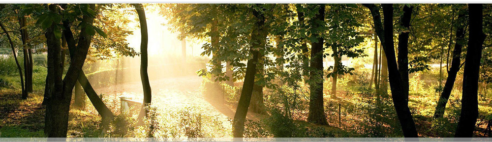 Живописный, экологически чистый коттеджный поселок рядом с Самарой в п. Нижняя Солонцовка Красноярского района