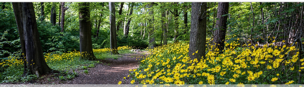 Живописный, экологически чистый коттеджный поселок рядом с Самарой в п. Нижняя Солонцовка Красноярского района
